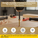 Solid brass #12 wood screws, unlacquered